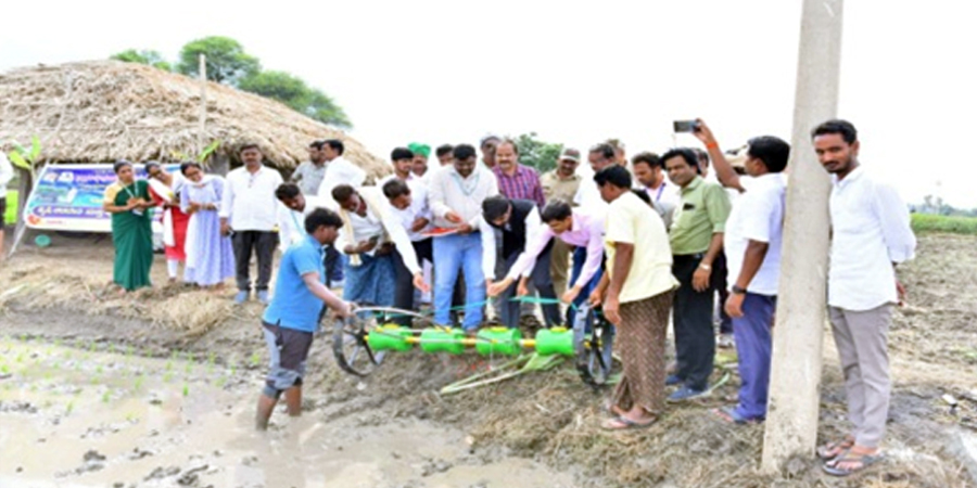 Horizontal spread of drum seeder in paddy to an area 1500 to 2000 acres