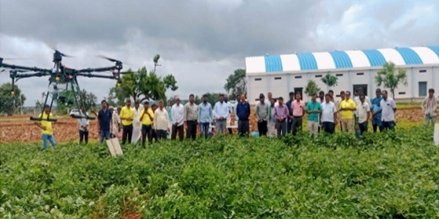 Technology coverage of around 800 ha using drone in pesticide and fertilizer application