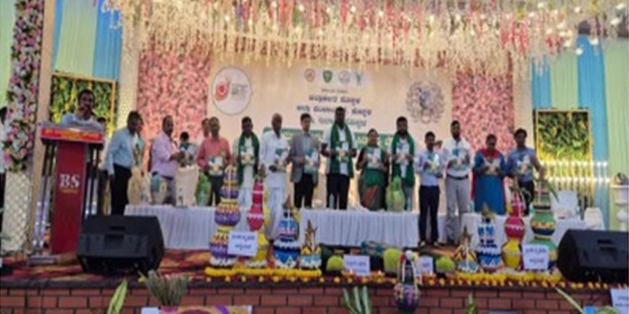 Value addition and marketing millet products