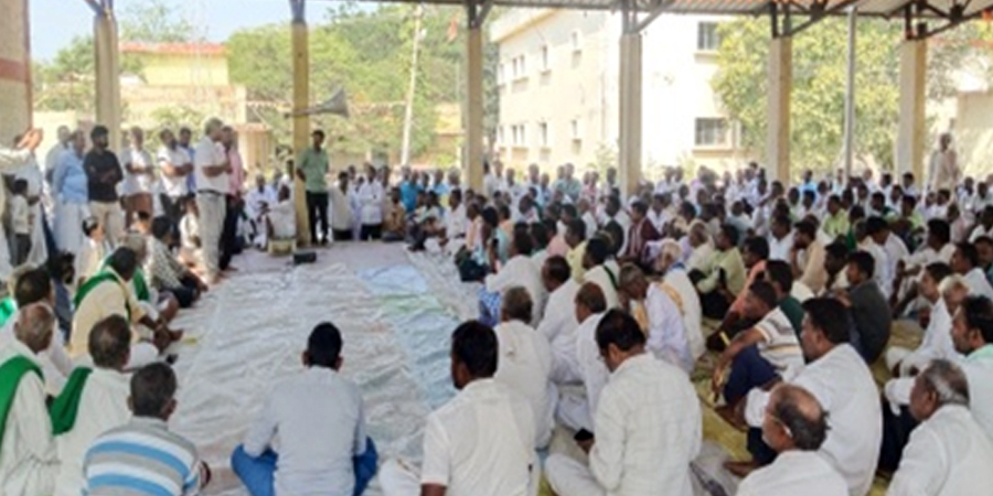 Paddy gal midge awareness programme