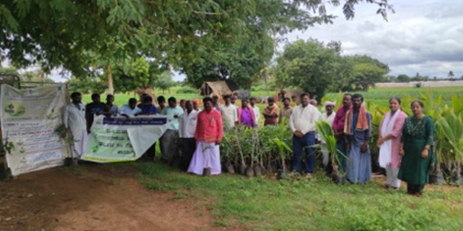More than 1000 Tree planting campaign under world environment day